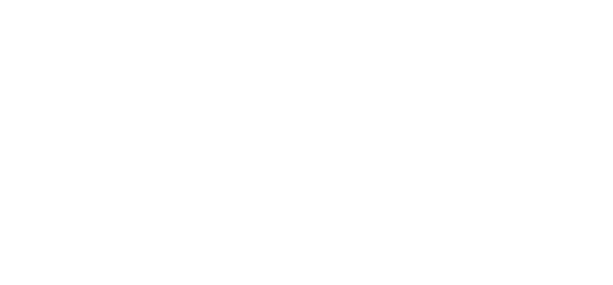 Newstead Dental Co